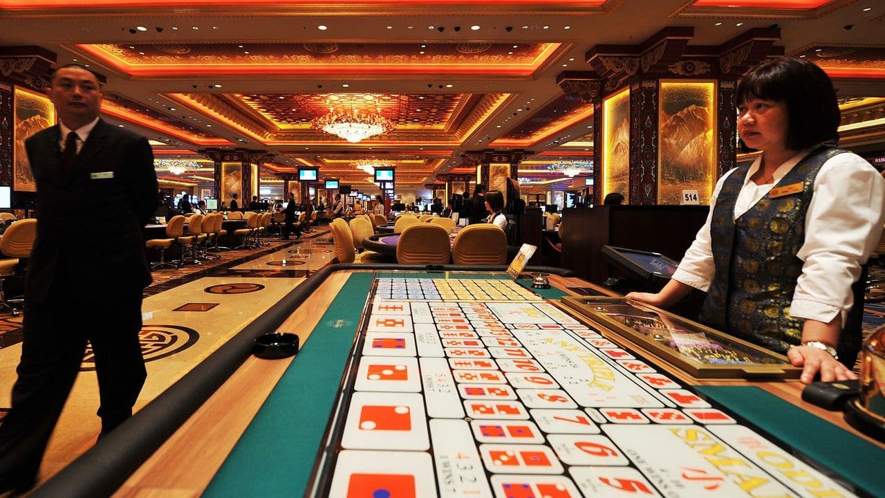 White Label Casino Solutions in Germany: Scaling Smart in 2025
