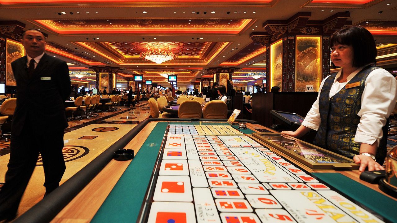 White Label Casino Solutions in Germany: Scaling Smart in 2025