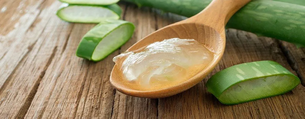 Erleben Sie die heilende Wirkung von Aloe Vera Gelly Gel als unabhängiger Distributor von Forever Living Products