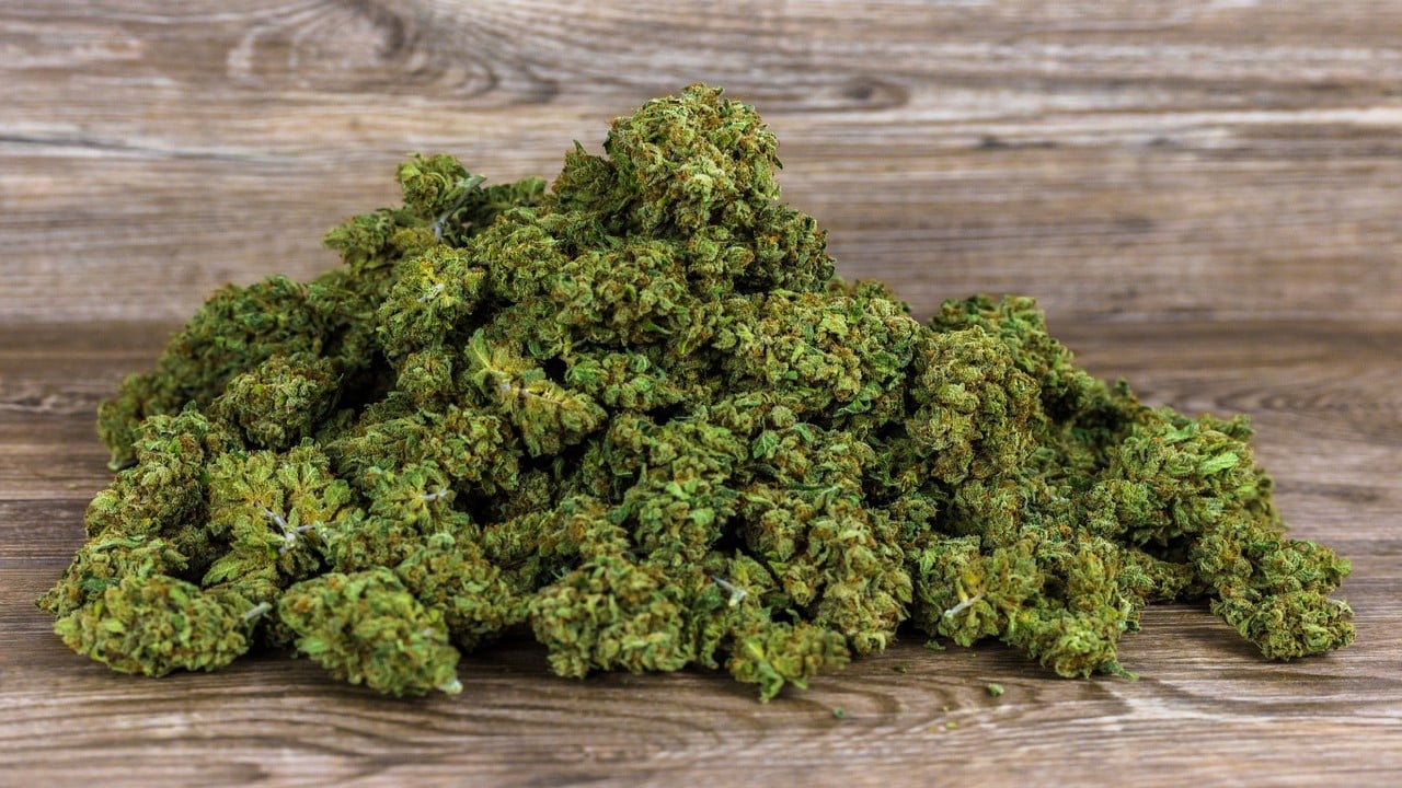 Ökologische Vorteile des Anbaus von Cannabis Samen